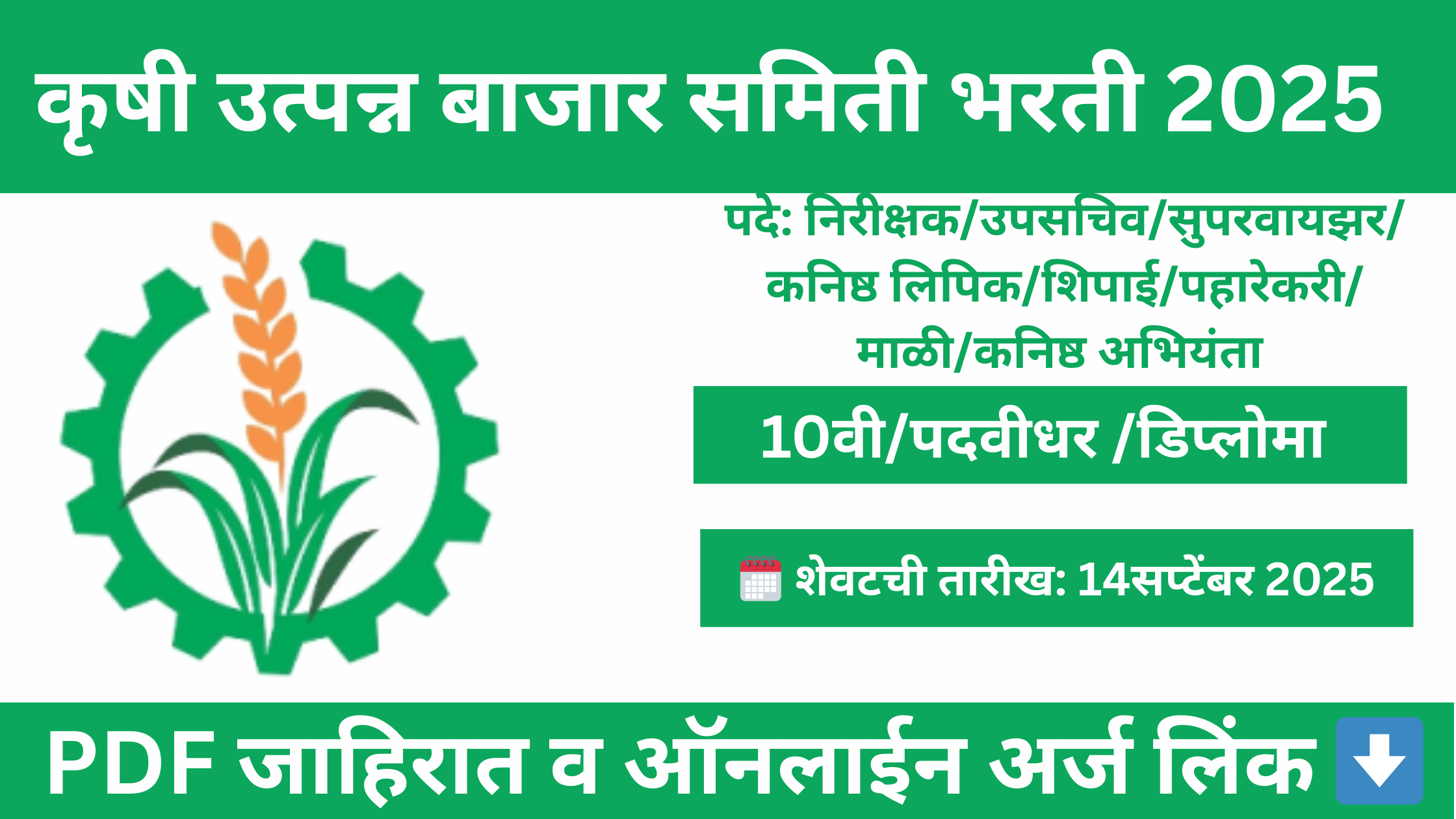 कृषी उत्पन्न बाजार समिती अळनेर भरती 2025 – सुवर्णसंधी सरकारी नोकरी APMC Bharti 2025 – Golden Opportunity Government Jobs